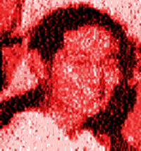 Yasuo Niimi