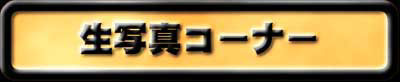 ʐ^R[i[
